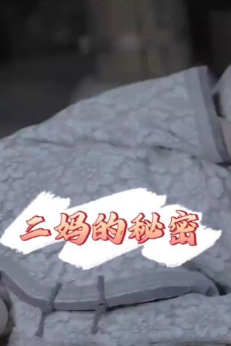 二妈的秘密 2024 短剧 海报