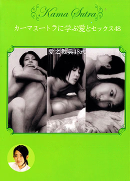 性之教典48式 2013 电影 海报