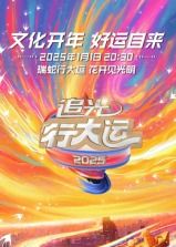 浙江卫视2025文化开年·追光行大运 2025 综艺 海报