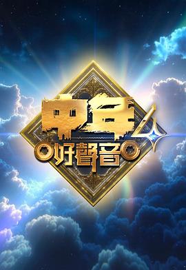 中年好声音4 2025 综艺 海报