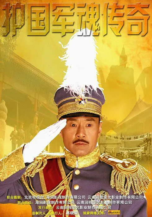 护国军魂传奇 2011 电视剧 海报