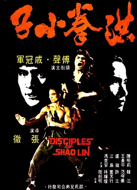 洪拳小子[电影解说] 1975 电影解说 海报