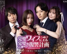 完美妻子的完美复仇计划 2024 电视剧 海报