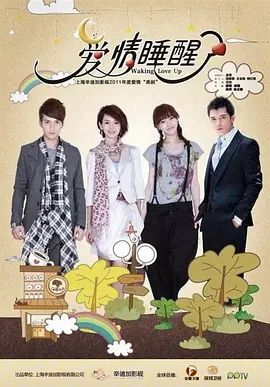爱情睡醒了 2011 电视剧 海报