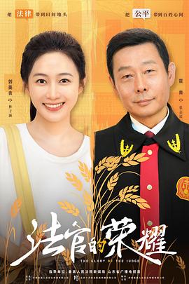 法官的荣耀 2025 电视剧 海报