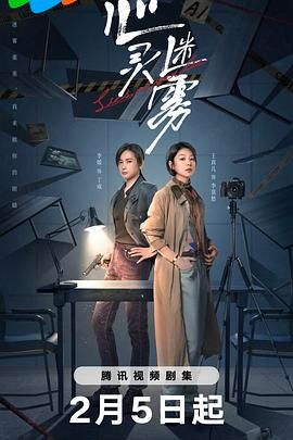 心灵迷雾 2025 电视剧 海报