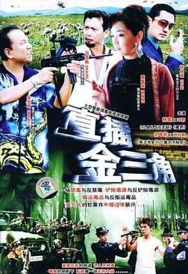 直插金三角 2009 电视剧 海报