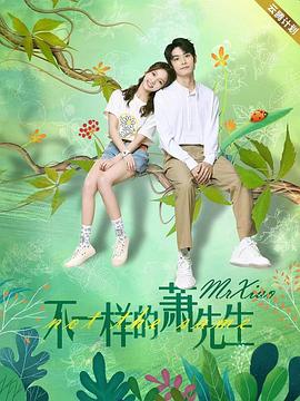 不一样的萧先生 2023 电视剧 海报