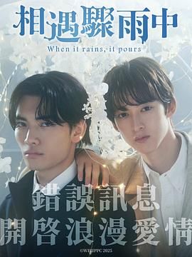 相遇骤雨中 2025 电视剧 海报