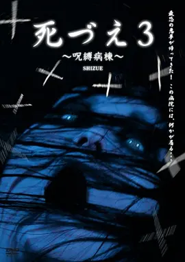 受诅咒的病院[电影解说] 2006 电影解说 海报