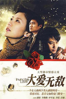 大爱无敌 2009 电视剧 海报