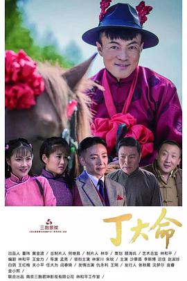 丁大命 2018 电视剧 海报