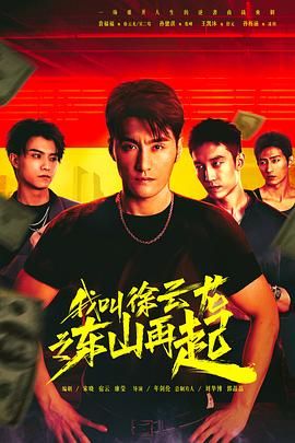 我叫徐云龙之东山再起 2024 电视剧 海报