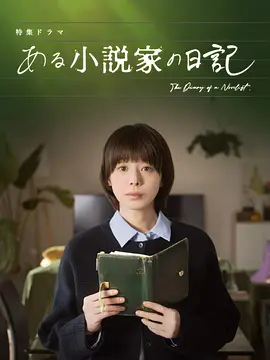 某小说家的日记 2026 电视剧 海报