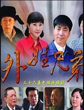 外姓兄弟 2010 电视剧 海报