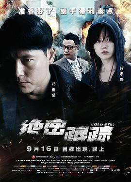 绝密跟踪(国语版) 2013 电影 海报