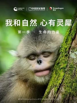 《我和自然 心有灵犀》第一季 - 生命的力量 2020 纪录片 海报