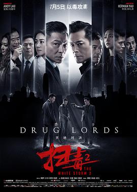 扫毒2天地对决(国语版) 2019 电影 海报