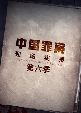 罪案现场实录 第六季 2021 纪录片 海报