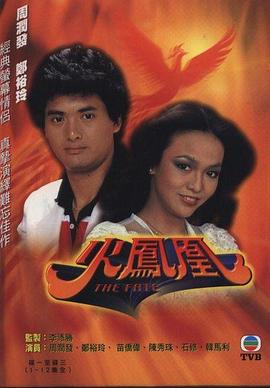 火凤凰1981 1981 电视剧 海报