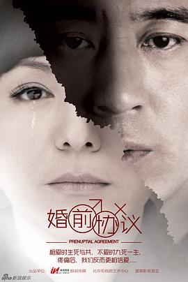 婚前协议 2013 电视剧 海报