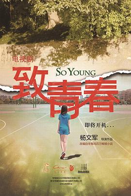 致青春 2016 电视剧 海报