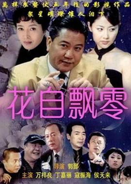 花自飘零 2005 电视剧 海报