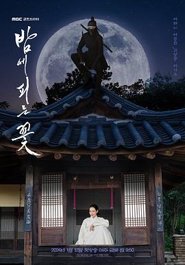 夜晚开的花 2024 电视剧 海报