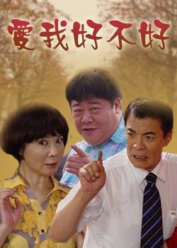 爱我好不好 2009 电视剧 海报
