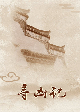 寻凶记 2009 电影 海报