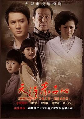 天涯赤子心 2010 电视剧 海报