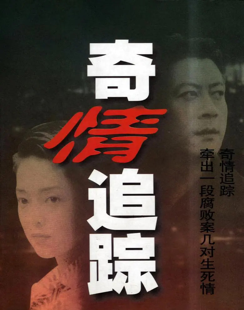 奇情追踪 1999 电视剧 海报