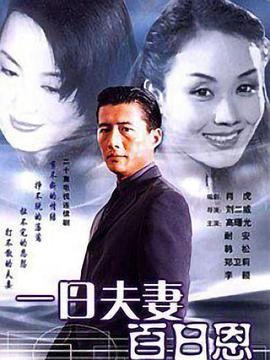 一日夫妻百日恩 1998 电视剧 海报