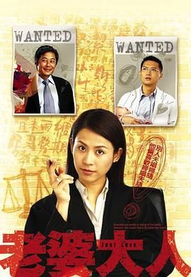 老婆大人 2005 电视剧 海报