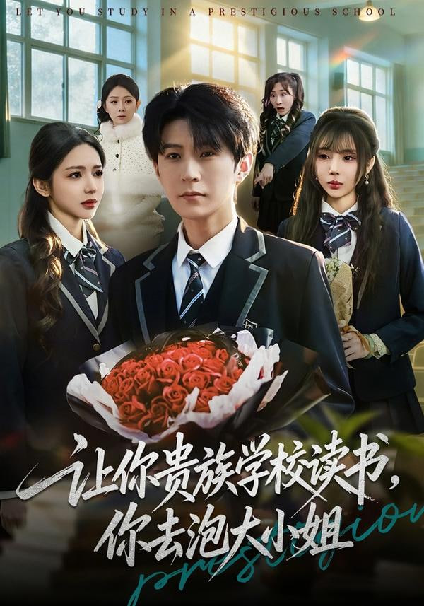 让你贵族学校读书,你去泡大小姐 2026 短剧 海报