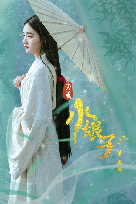 大唐小娘子 第三季 2021 电视剧 海报