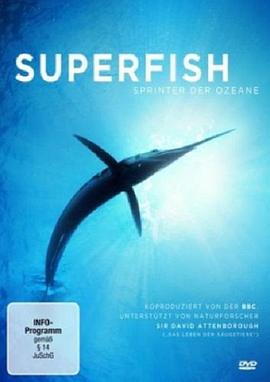 自然：超级鱼类 2008 纪录片 海报