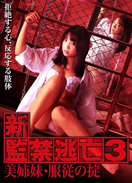 新监禁逃亡3：美姐妹服从守则 2010 电影 海报