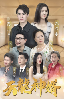 天龙神婿 2024 短剧 海报