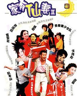 家有仙妻2 1999 电视剧 海报