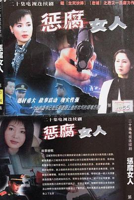 惩腐女人 2004 电视剧 海报