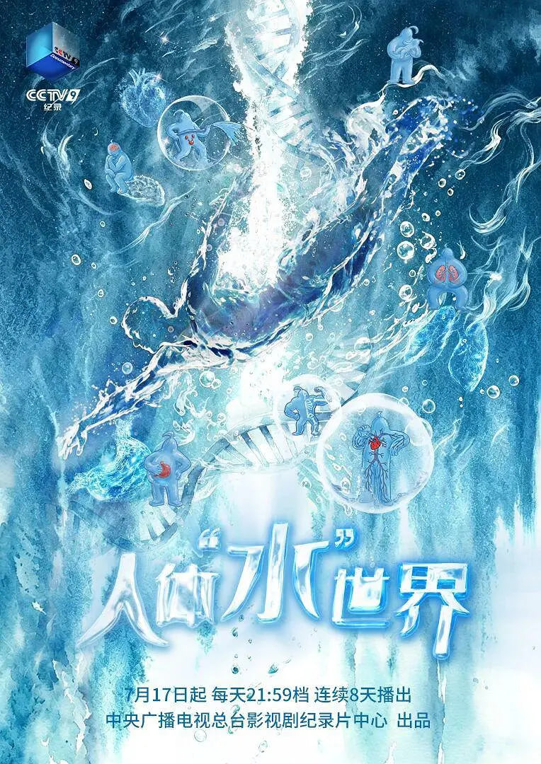 人体“水”世界 2026 电视剧 海报