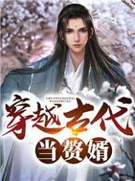 穿越古代当赘婿 2023 短剧 海报