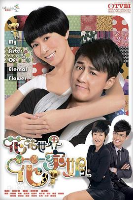 花花世界花家姐 2011 电视剧 海报