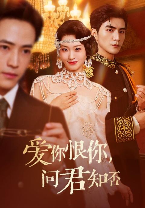 爱你恨你问君知否 2025 短剧 海报