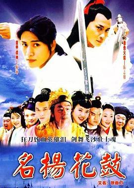 名扬花鼓 2004 电视剧 海报
