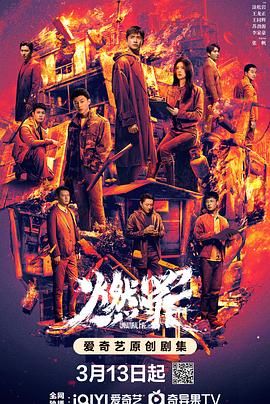 燃罪 2025 电视剧 海报