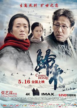 归来 2014 电影 海报