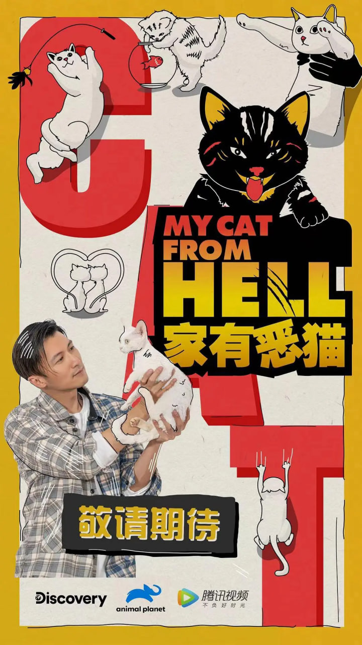 家有恶猫 2021 纪录片 海报