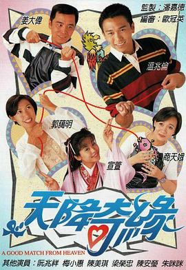 天降奇缘国语 1995 电视剧 海报